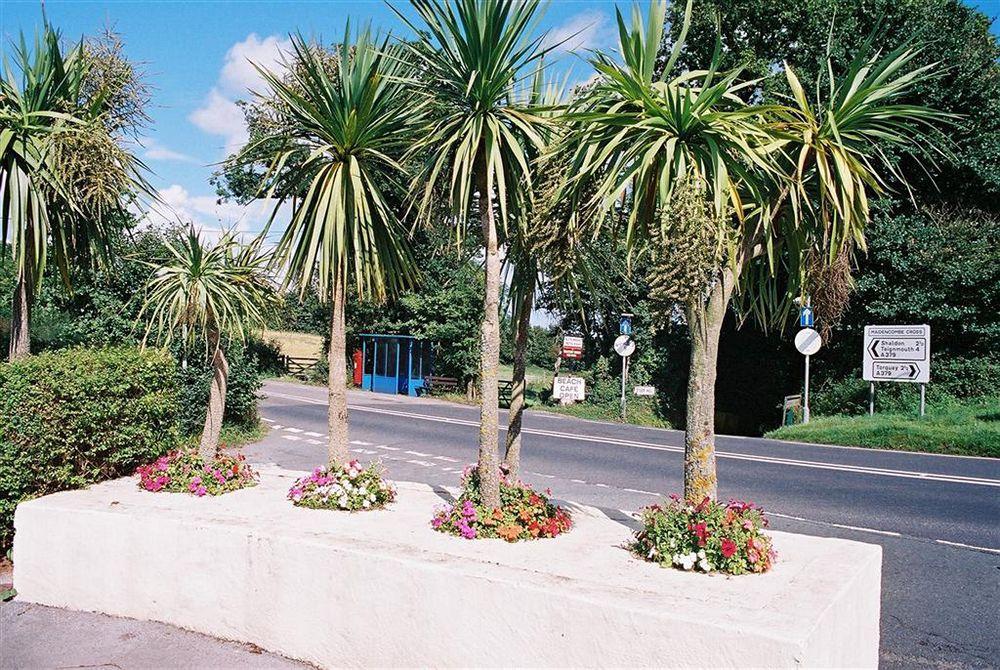 Crossways & Sea View Holiday Apartments Torquay Kültér fotó