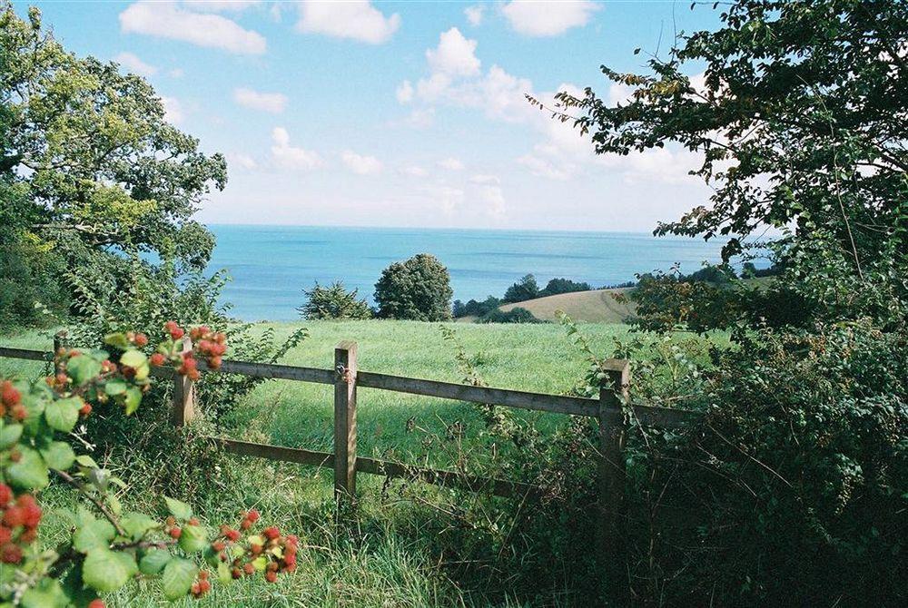 Crossways & Sea View Holiday Apartments Torquay Kültér fotó